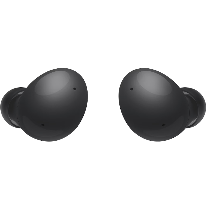 Galaxy Buds 2 Graphite