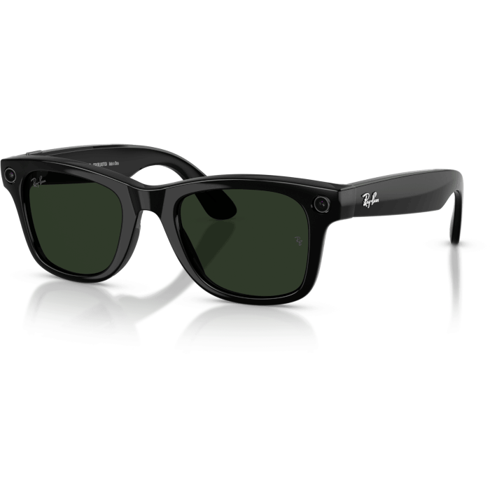 Ray-Ban Meta Frame Shinny Black Lenses Green (Gen 2)