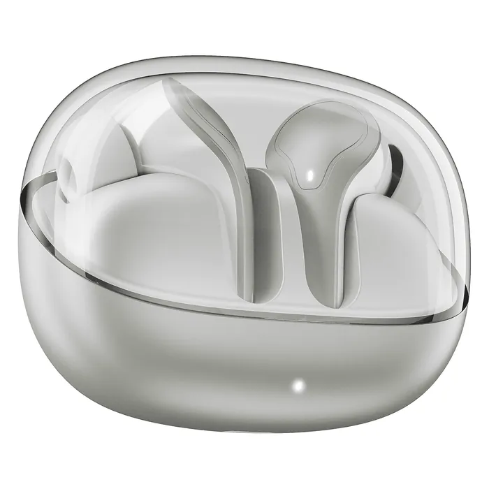 boAt Airdopes Plus 311 true wireless earbuds in Ash Grey, earbuds in the charging case with its transparent lid